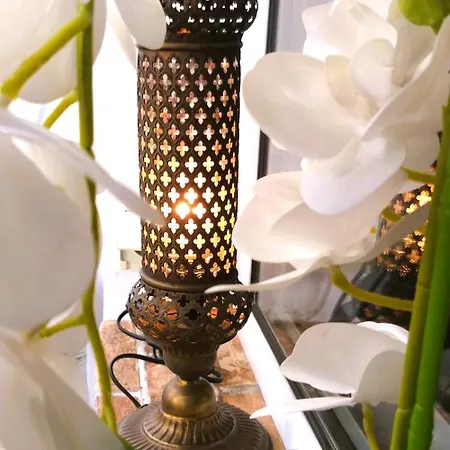 Apartament Ummagumma *